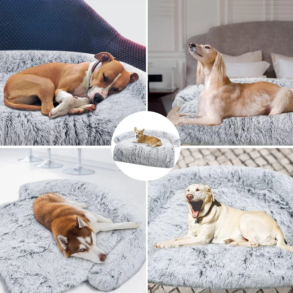 PawLuxe Comfort Pet Sofa